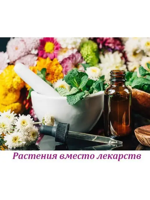 Цветок журнал. Лечебные растения №2 2022, вариант, фото 3