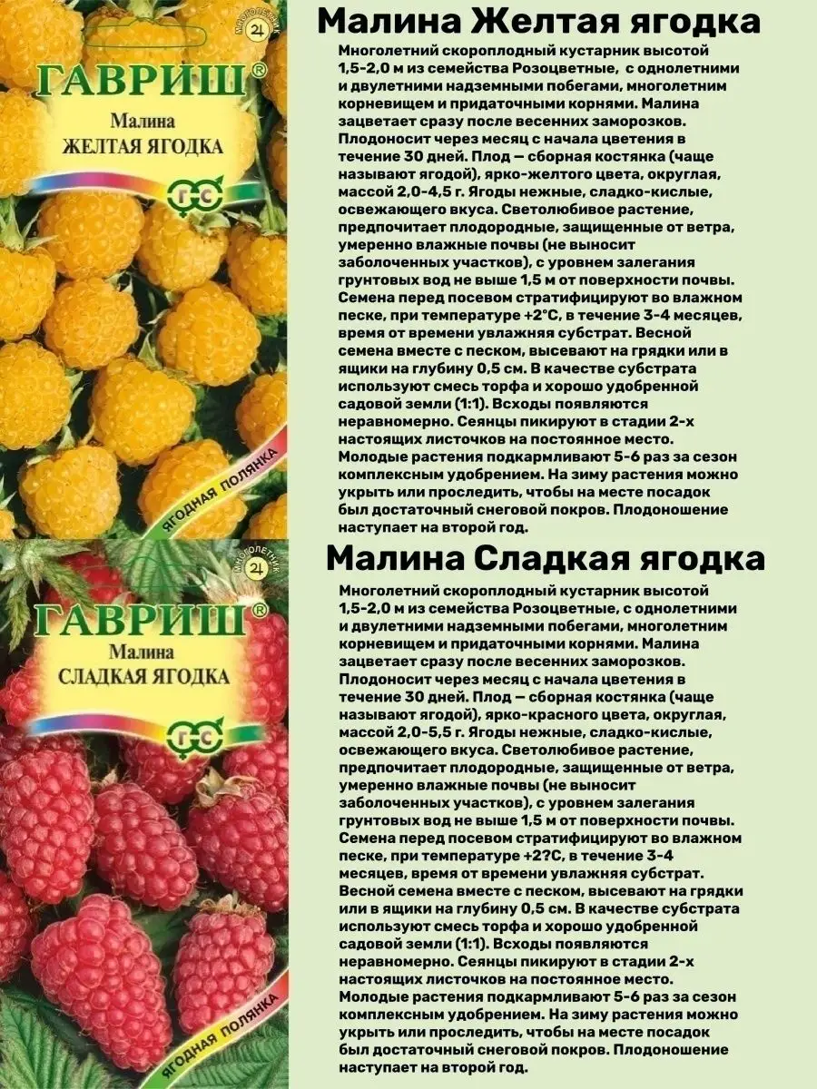 семена ягод Малины Гавриш 94921223 купить за 188 ₽ в интернет-магазине  Wildberries