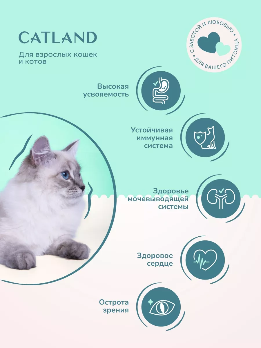 Сухой корм для взрослых кошек Catland 350г Дилли 94963101 купить в  интернет-магазине Wildberries