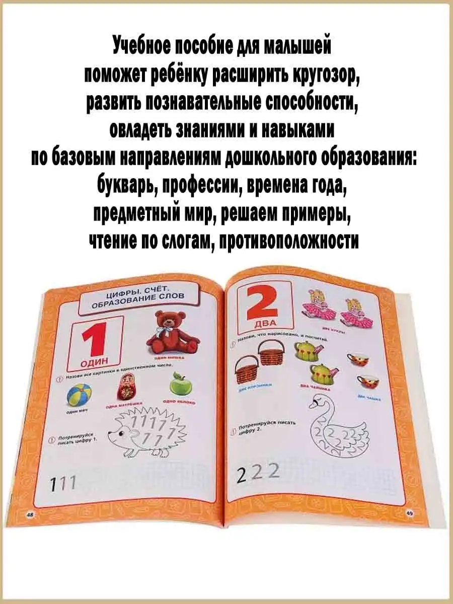 Полный годовой курс занятий для детей с 4 - 5 лет Славный малыш 95029615  купить за 358 ₽ в интернет-магазине Wildberries