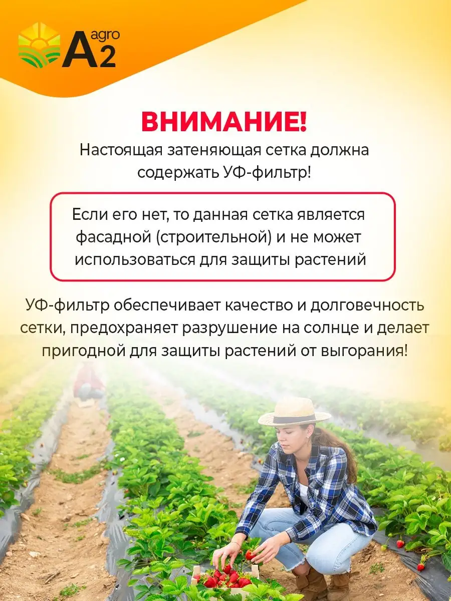 Сетка затеняющая 55 для огорода 3х6 A2 AGRO 95237432 купить за 818 ₽ в  интернет-магазине Wildberries