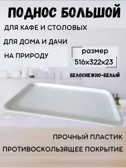 Поднос пластиковый кухонный с бортиками Белорусские подносы 95243473 купить за 414 ₽ в интернет-магазине Wildberries