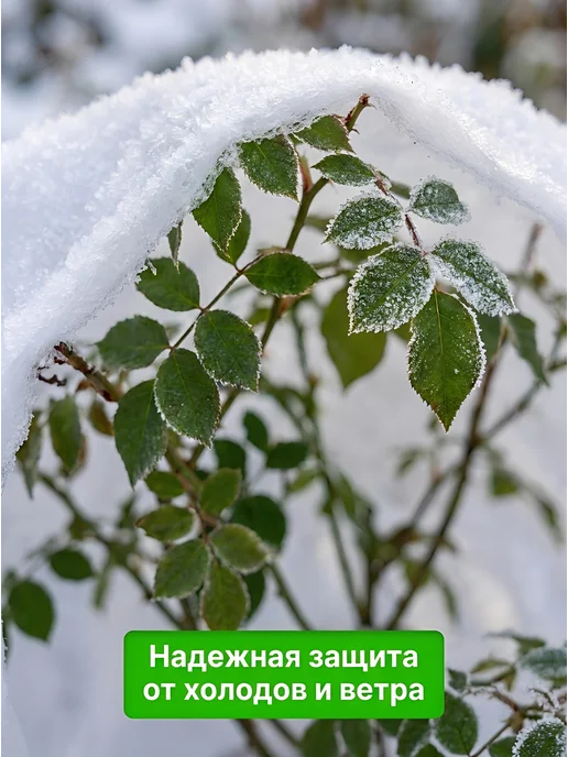 K-Stacy HOME Укрывной материал для грядок, зеленый, фото 4
