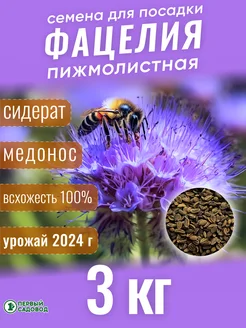 Фацелия сидерат 3 кг Первый садовод 95400064 купить за 700 ₽ в интернет-магазине Wildberries