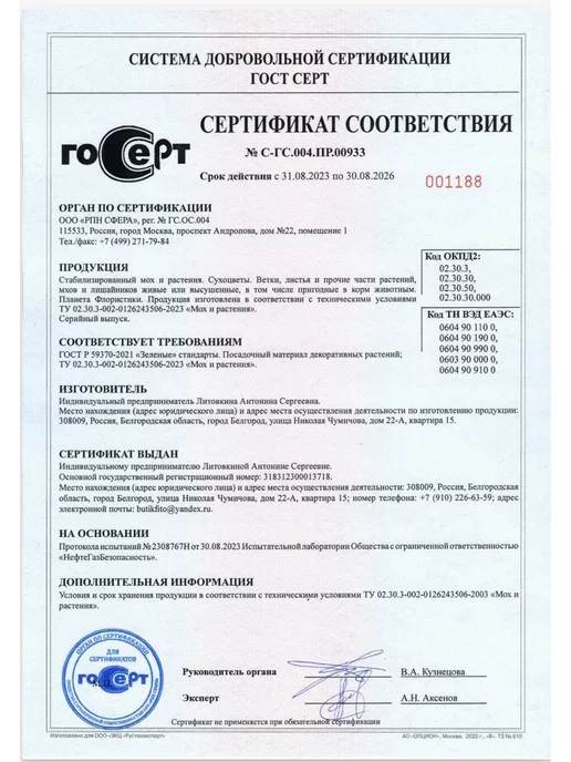 Планета Флористики Мох стабилизированный ягель декоративный для озеленения, вариант, фото 2