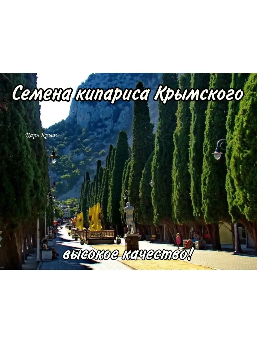 Кипарис Крымский семена + подарок микс Царь Крым 95458007 купить за 55 ₽ в  интернет-магазине Wildberries