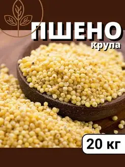 Пшено крупа КРУПОВИЧОК 95517344 купить за 1 221 ₽ в интернет-магазине Wildberries