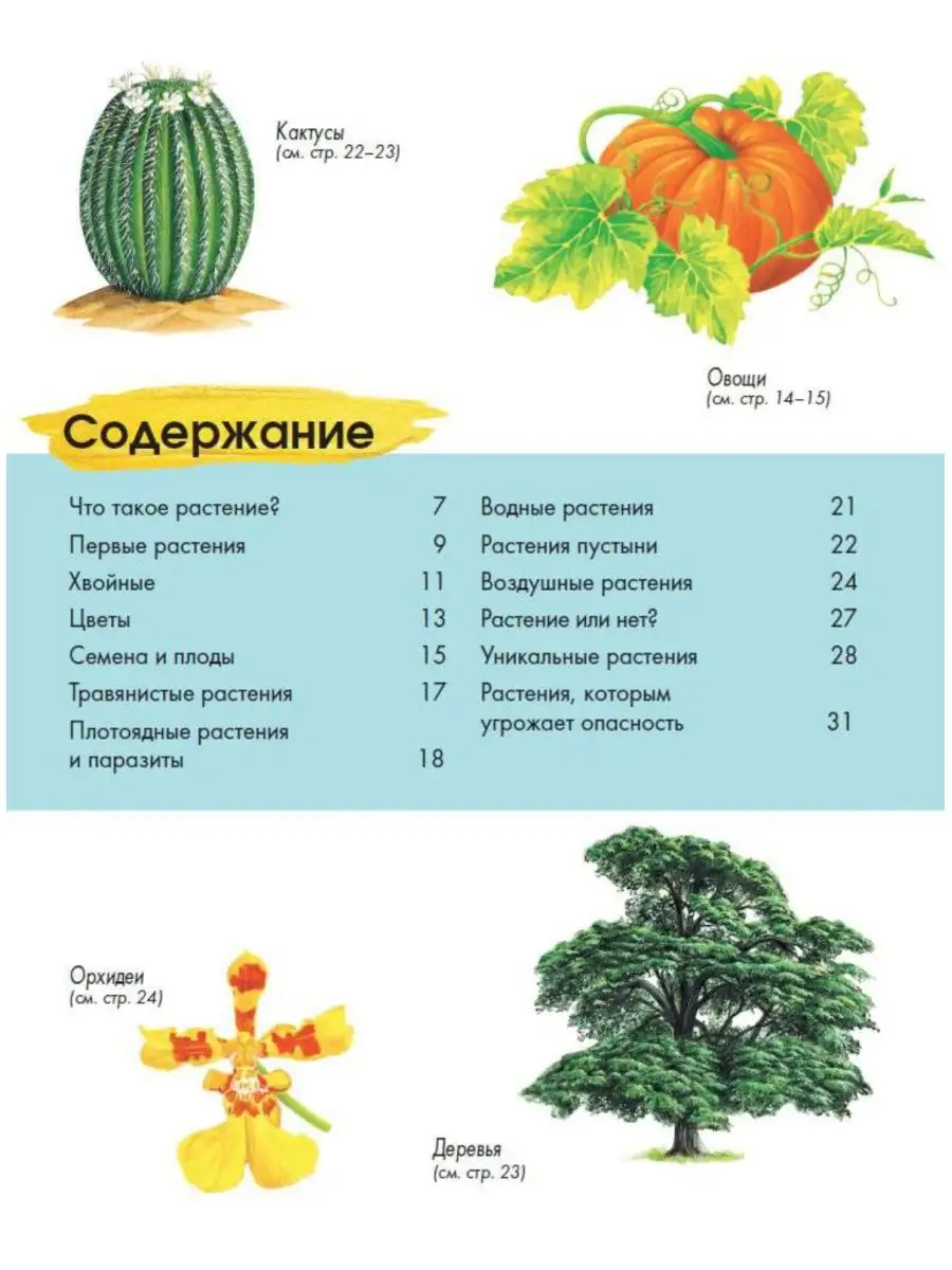 Растения. Энциклопедия для детей Издательство АСТ 95518261 купить за 257 ₽  в интернет-магазине Wildberries