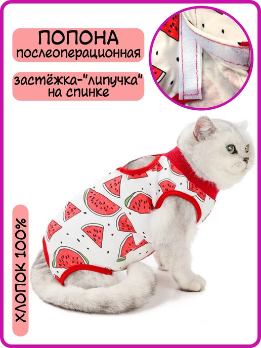 Best Golden Monkey Попона послеоперационная для кошек, белый