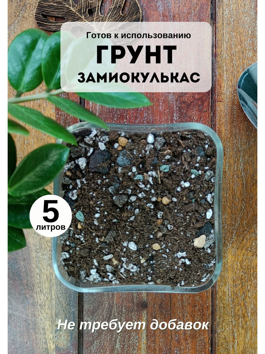 Грунт для замиокулькаса, 5 л GREENHOUSE DECOR 95677703 купить за 734 ₽ в  интернет-магазине Wildberries