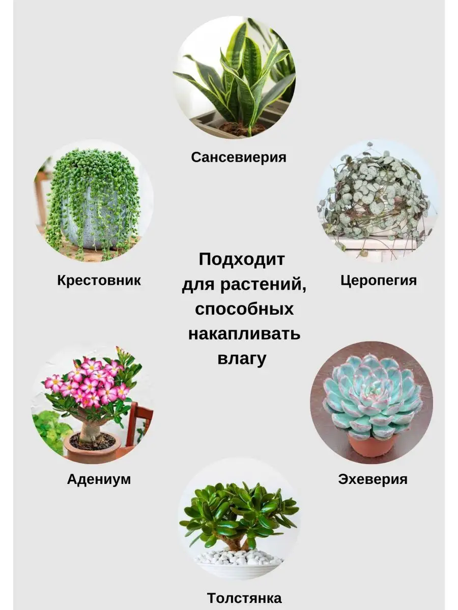 Грунт для замиокулькаса, 5 л GREENHOUSE DECOR 95677703 купить за 710 ₽ в  интернет-магазине Wildberries