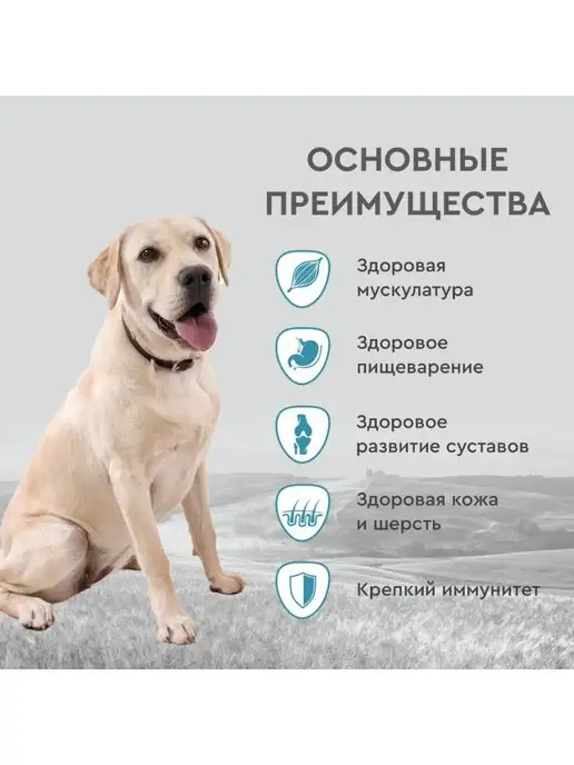 Сухой корм Secret for Pets Premium для собак, 15 кг, фото 3