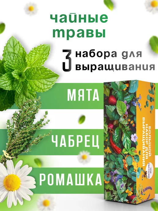 Plant Republic Набор для выращивания растений Мята Ромашка Чабрец