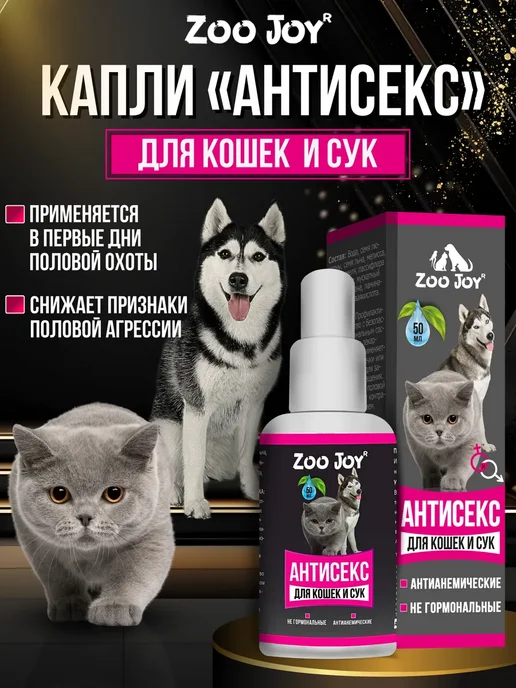 Вязка кошек: правила и советы