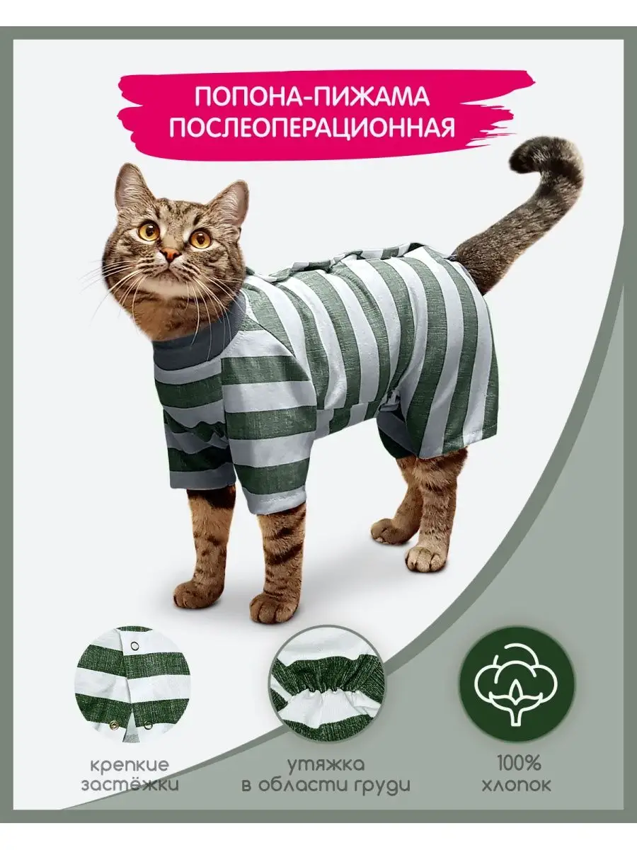 Как одеть попону на кошку | Ropa de gato, Hacer ropa de perro, Ropa para gatos