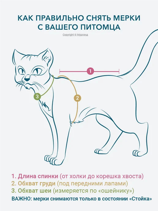 МУРЛЭНД Попона для кошек послеоперационная, белый, фото 6