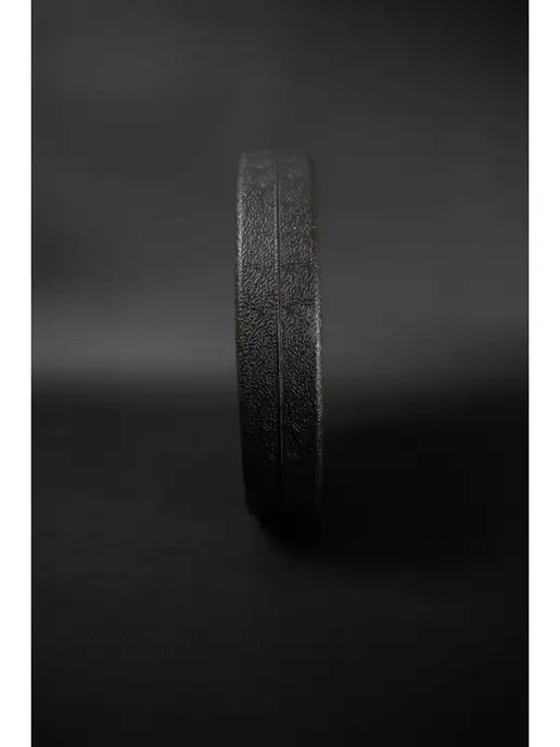 Barfits Диск пластиковый 3кг D26, 1,5 кг, фото 4