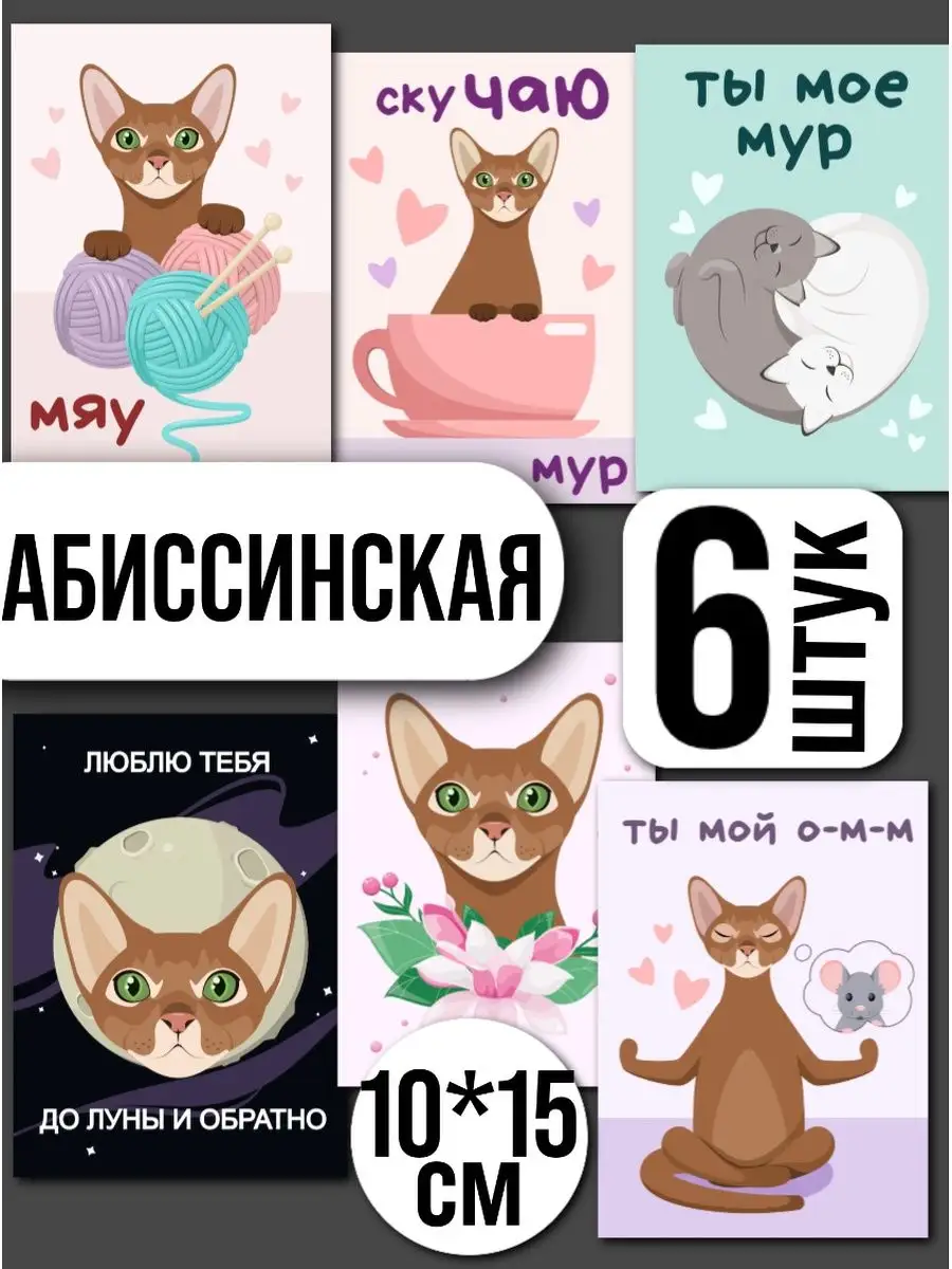 Милые и смешные коты-котята.