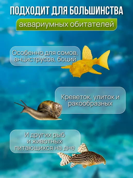 MrPets Корм гранулы для донных сомов и рыбок, вариант, фото 3