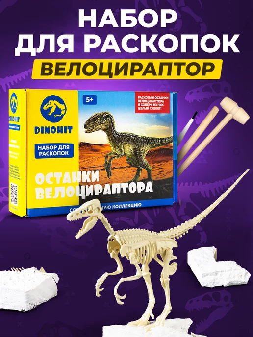 Раскопки DINOHIT Набор для раскопок динозавров "Скелет Велоцираптора"