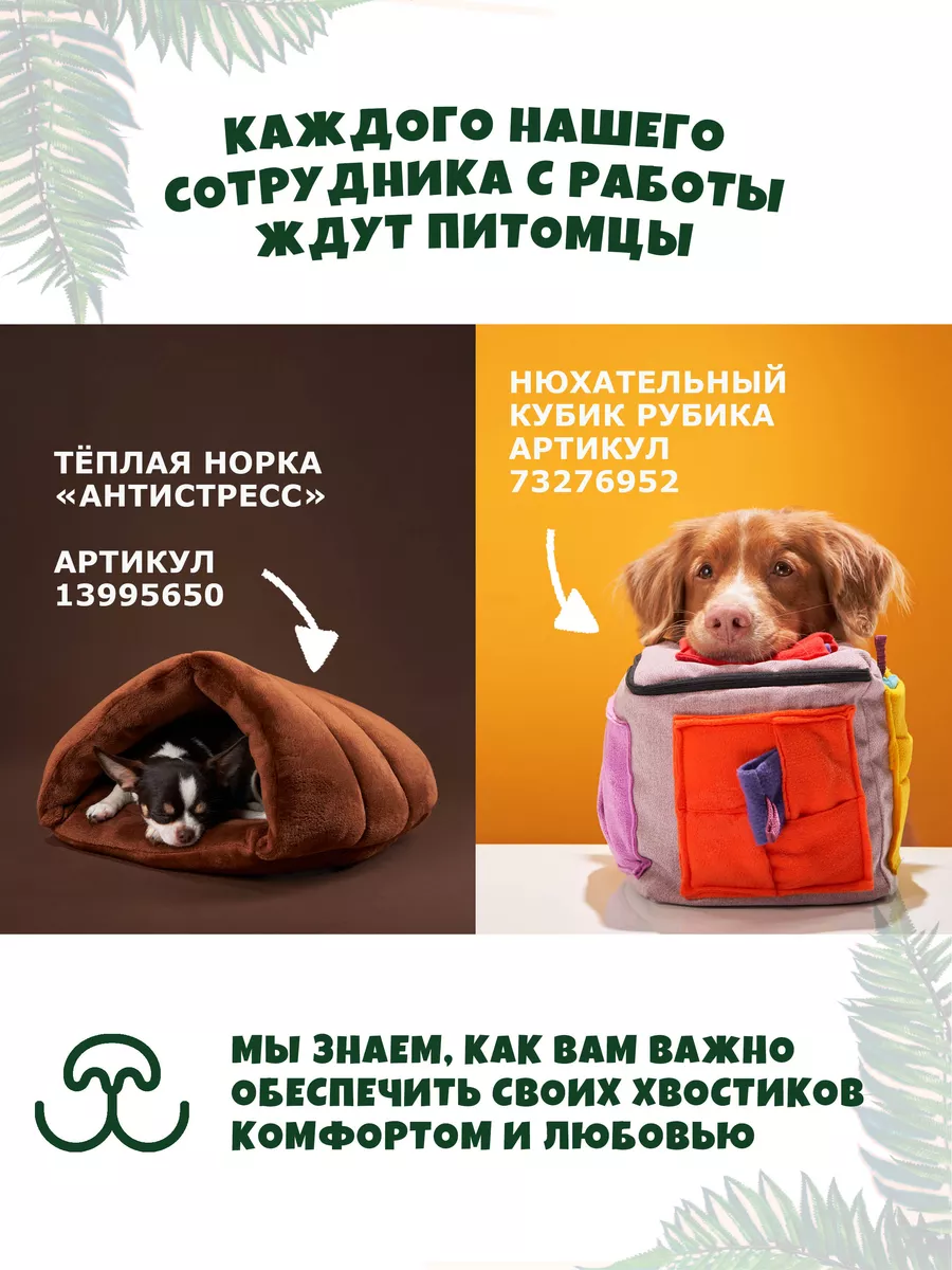 Лежак подстилка для крупных пород собак Лежебоки 96268750 купить за 1 571 ₽  в интернет-магазине Wildberries