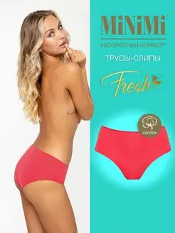 Трусы FRESH MF222 Slip слипы цветные из хлопка Minimi 96353322 купить за 362 ₽ в интернет-магазине Wildberries