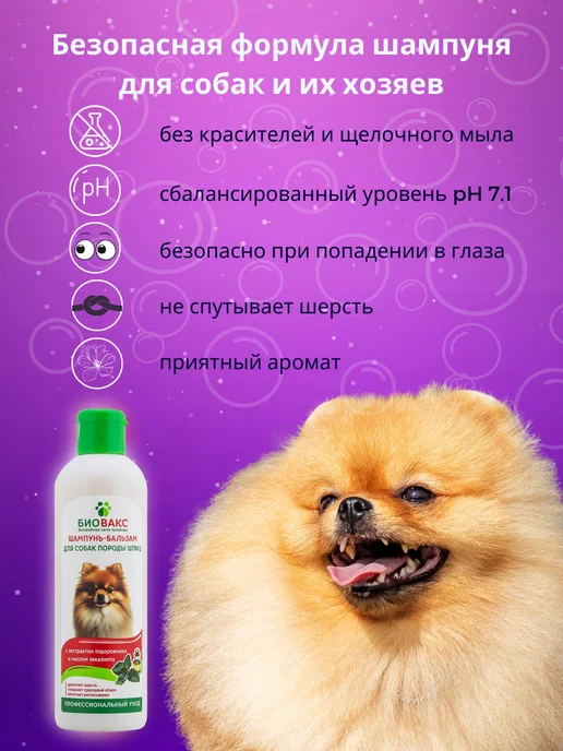 БиоВакс Шампунь для шпица Профессиональный, 250 мл, фото 3