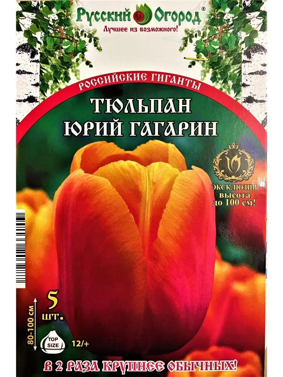 Луковичные Растения Тюльпан Юрий Гагарин Русский Огород 96385847 купить в  интернет-магазине Wildberries