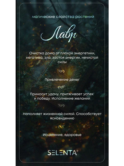 Selenta Эфирное масло Лавра 100% 10мл, 10 мл, фото 5