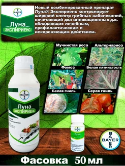 Луна Экспириенс Bayer 96464033 купить за 604 ₽ в интернет-магазине Wildberries