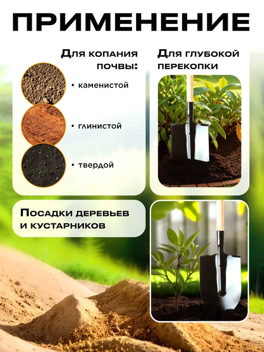 startul Лопата штыковая садовая с черенком 148 см, вариант, фото 5