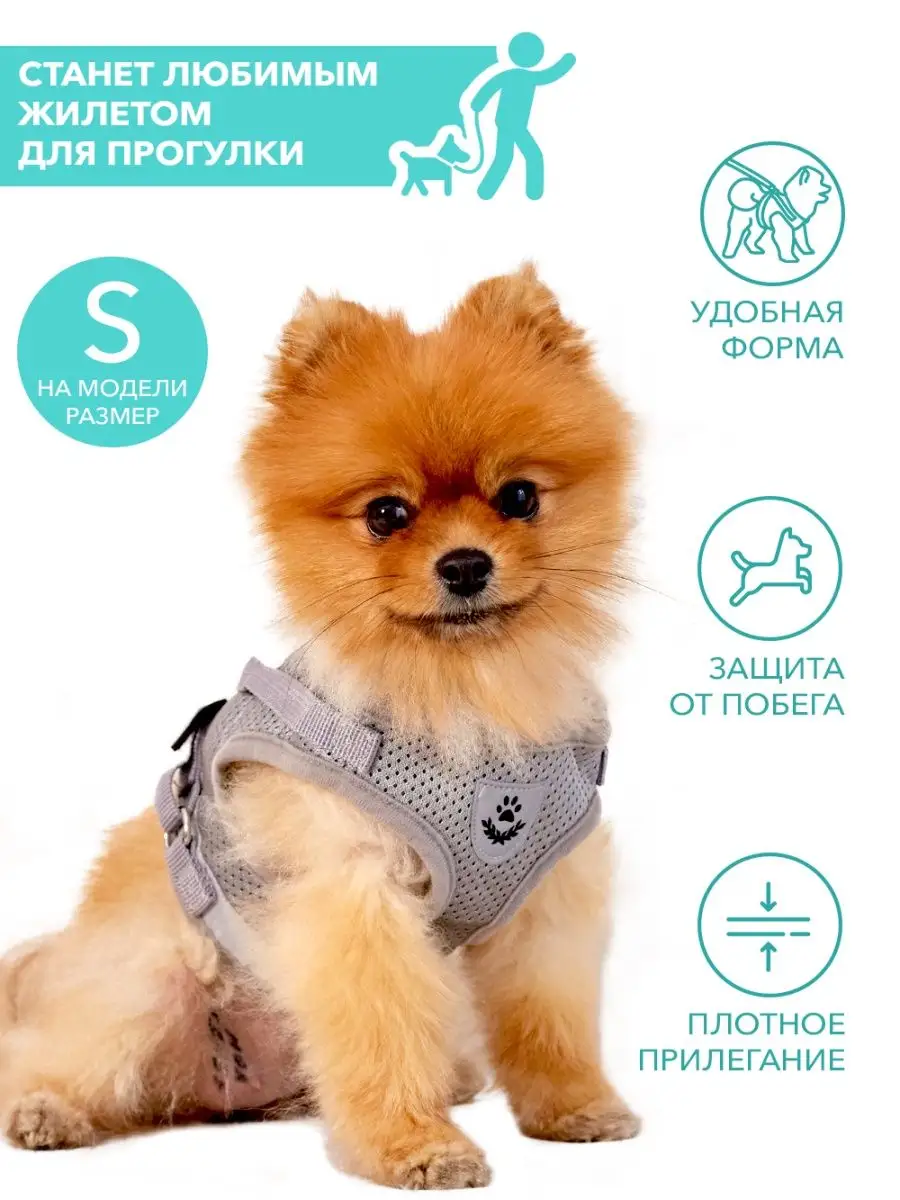 Шлейка для собак из кожи - выкройка в PDF | Швейная лаборатория