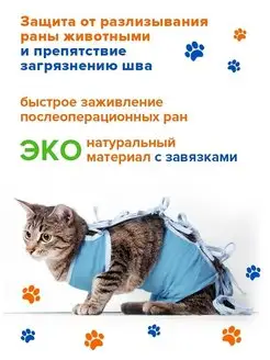 Попона для кошки после стерилизации