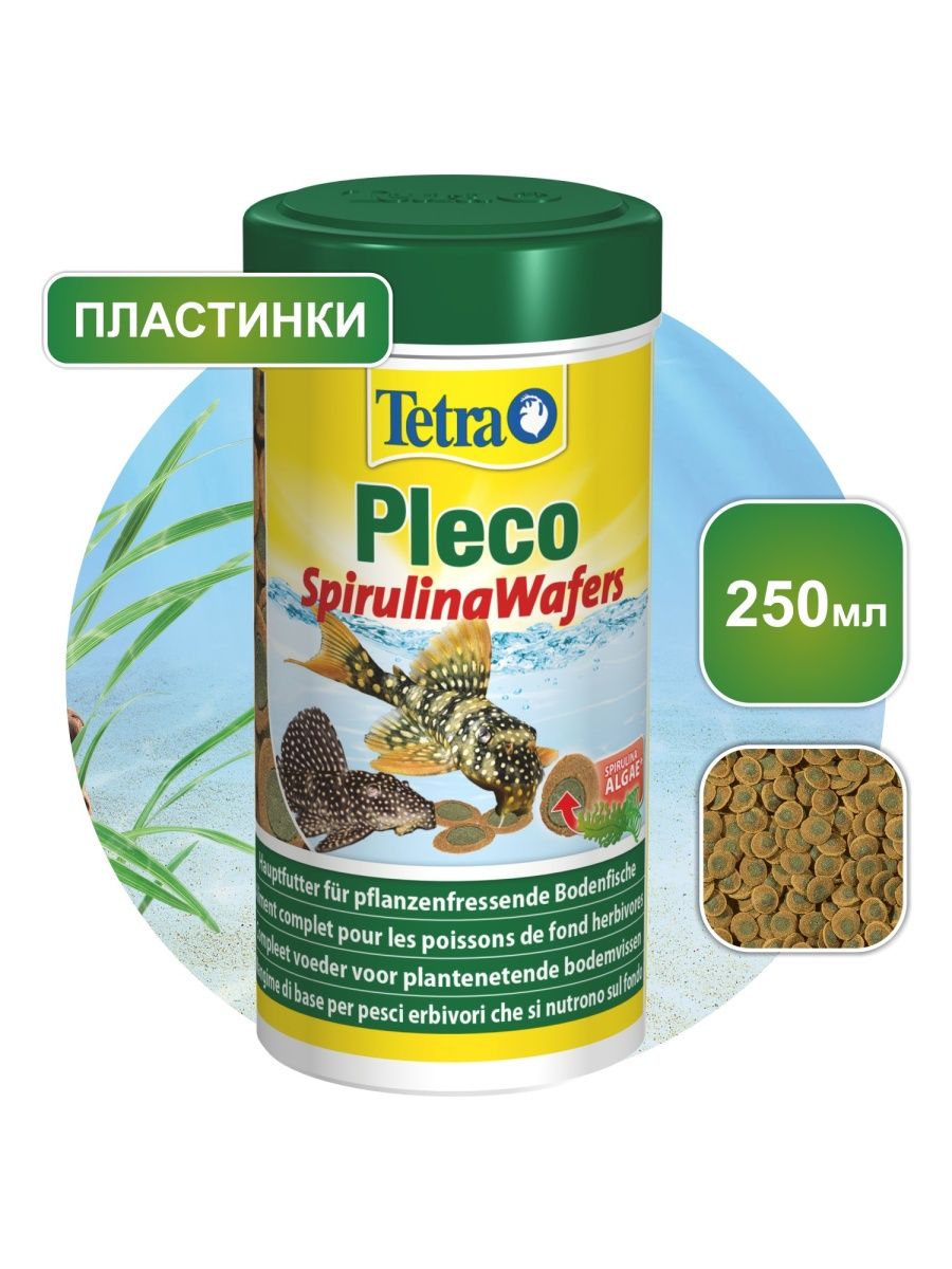 Tetra pleco tablets. Тетра плеко спирулина Ваферс. Tetra (тетра) 250 мл Tetra Pleco Spirulina Wafers пластинки для донных рыб 105 г. Pleco корм. Tetra Pleco Veggie Wafers.