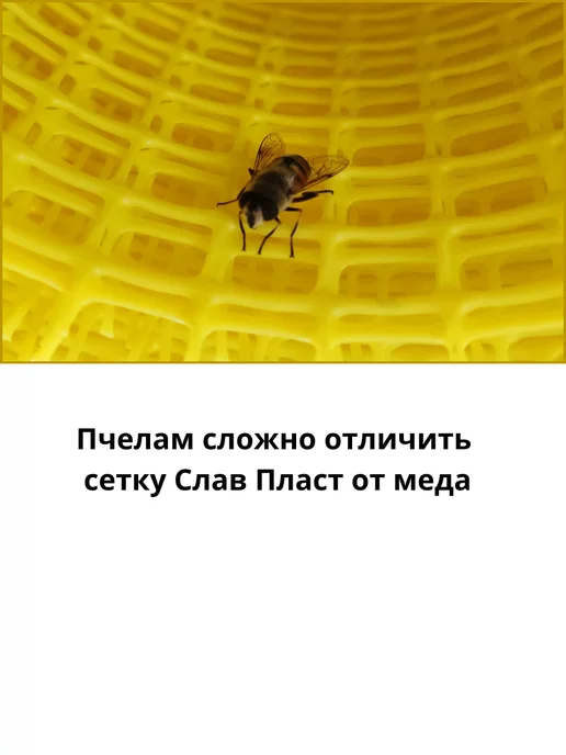 Слав Пласт Сетка заборная ячейка 12х12мм 10 м, 10 м, фото 6