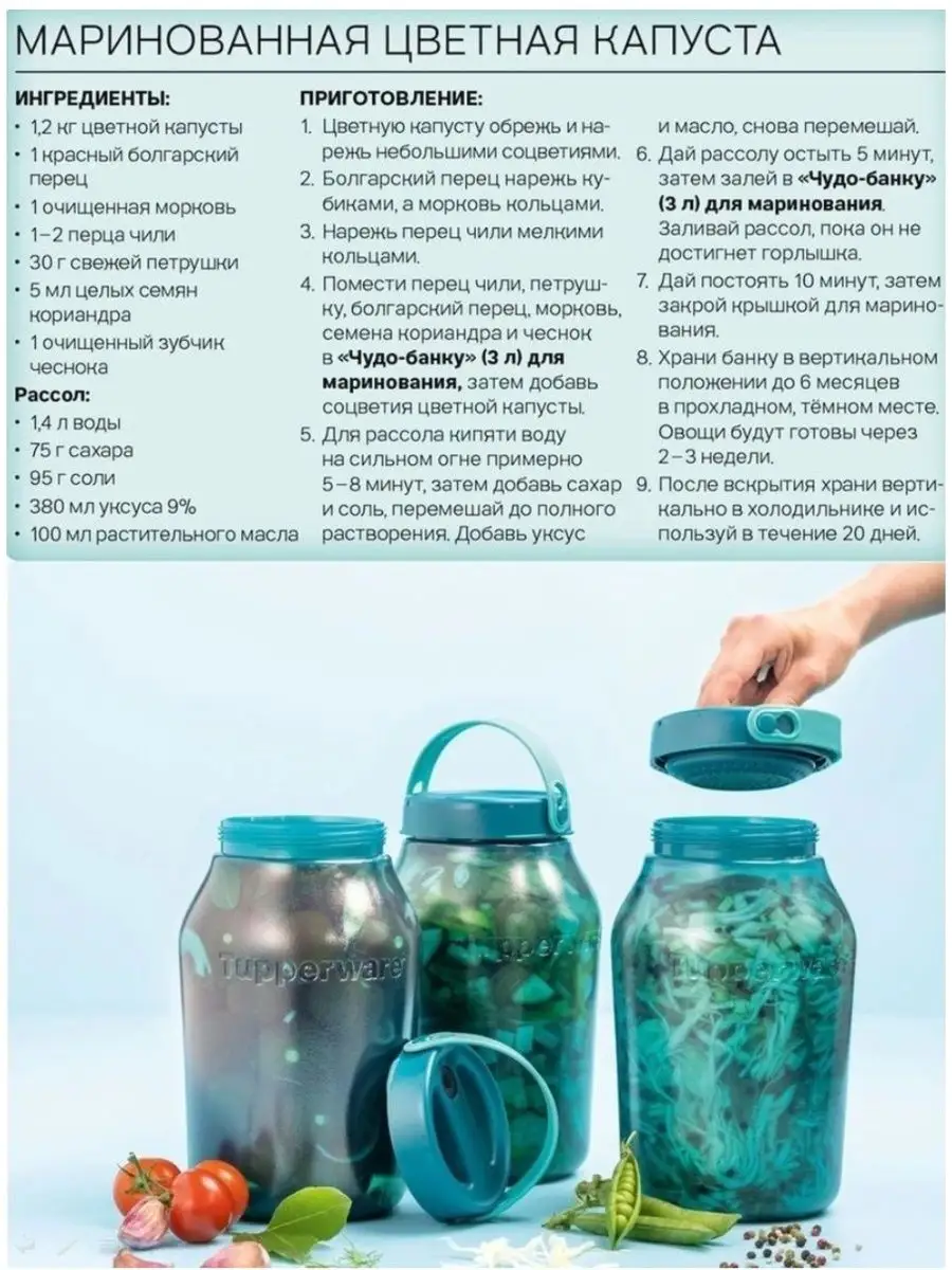 Чудо-банка 3,0л Tupperware 96639262 купить в интернет-магазине Wildberries