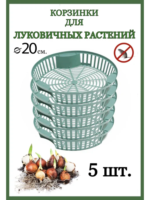 У ДАЧА Корзина ящик для луковичных, ящик