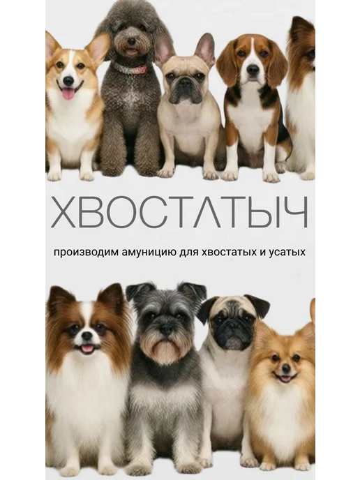 Хвостатыч Поводок для собак нейлон 5 м х 10 мм (бирюзовый), 5 м, фото 4