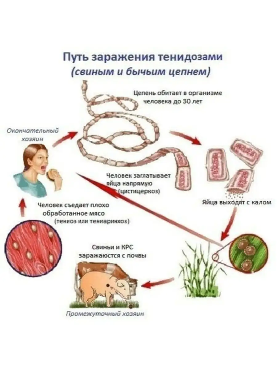 Заглот до яиц (28 фото)