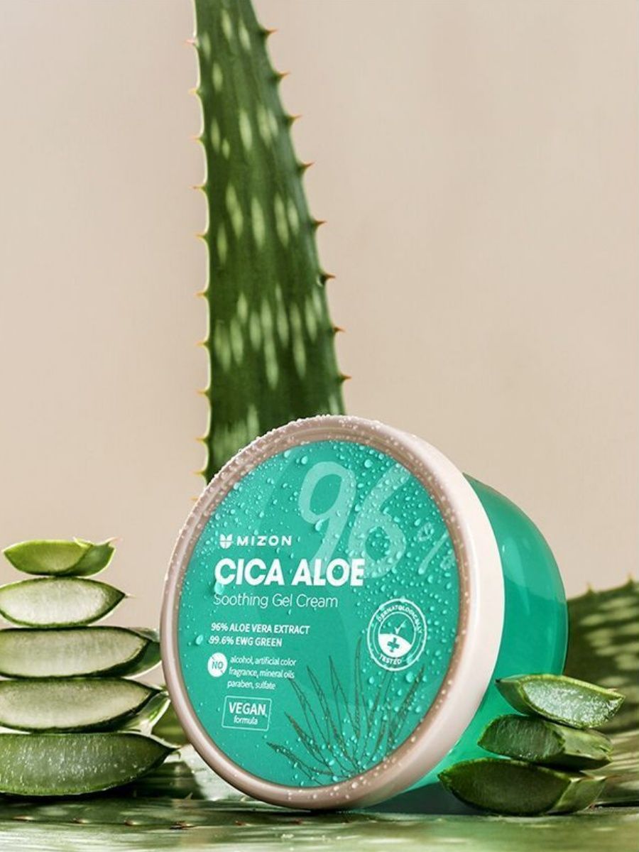 Cica aloe