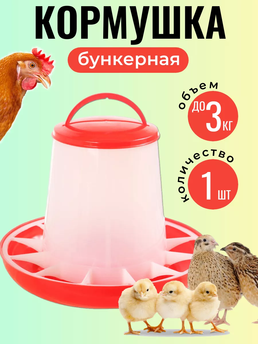 5 видов кормушек для кур