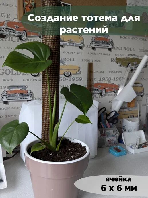 Слав Пласт Сетка от грызунов пластиковая 6х6 мелкая 1х20 м, 6x6, 20 м, фото 6