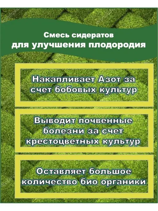 ЗЕЛЕНЫЙ УГОЛОК Смесь сидератов для плодородия почвы, зеленый, фото 2