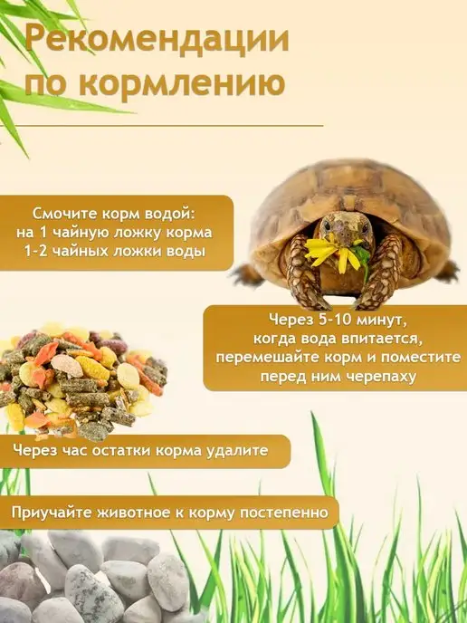 Зоомир Корм для сухопутных черепах, вариант, фото 5