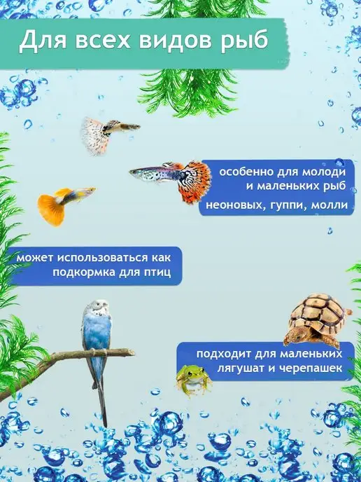 Зоомир Дафния природный корм для рыб, вариант, фото 2
