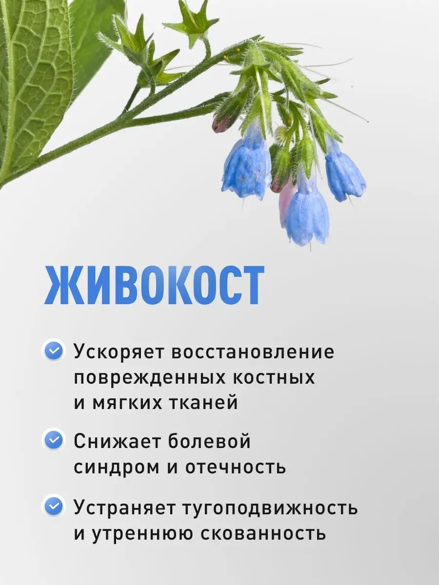 Экстракт Мартинии Душистой Купить Цена