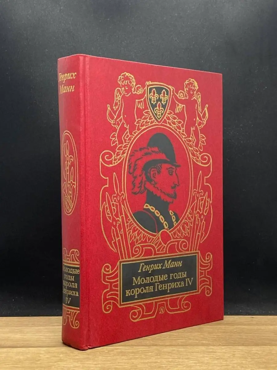 Молодые годы короля Генриха IV