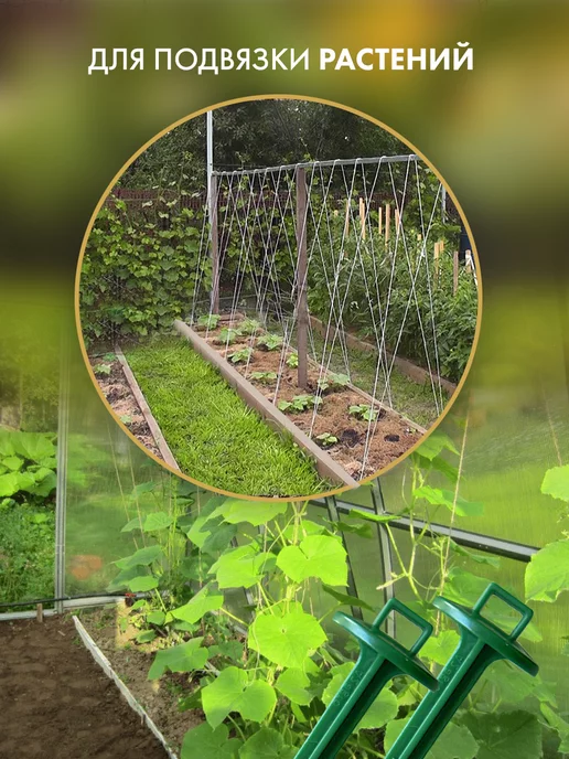 A2 AGRO Колышки для подвязки растений, опора для цветов, зеленый, фото 4