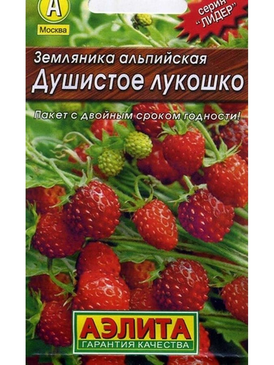 Земляника душистое лукошко. Земляника ремонтантная душистое лукошко. Земляника душистое лукошко Аэлита. Земляника выращивание душистое лукошко. Земляника душистое лукошко Аэлита Леруа Мерлен.