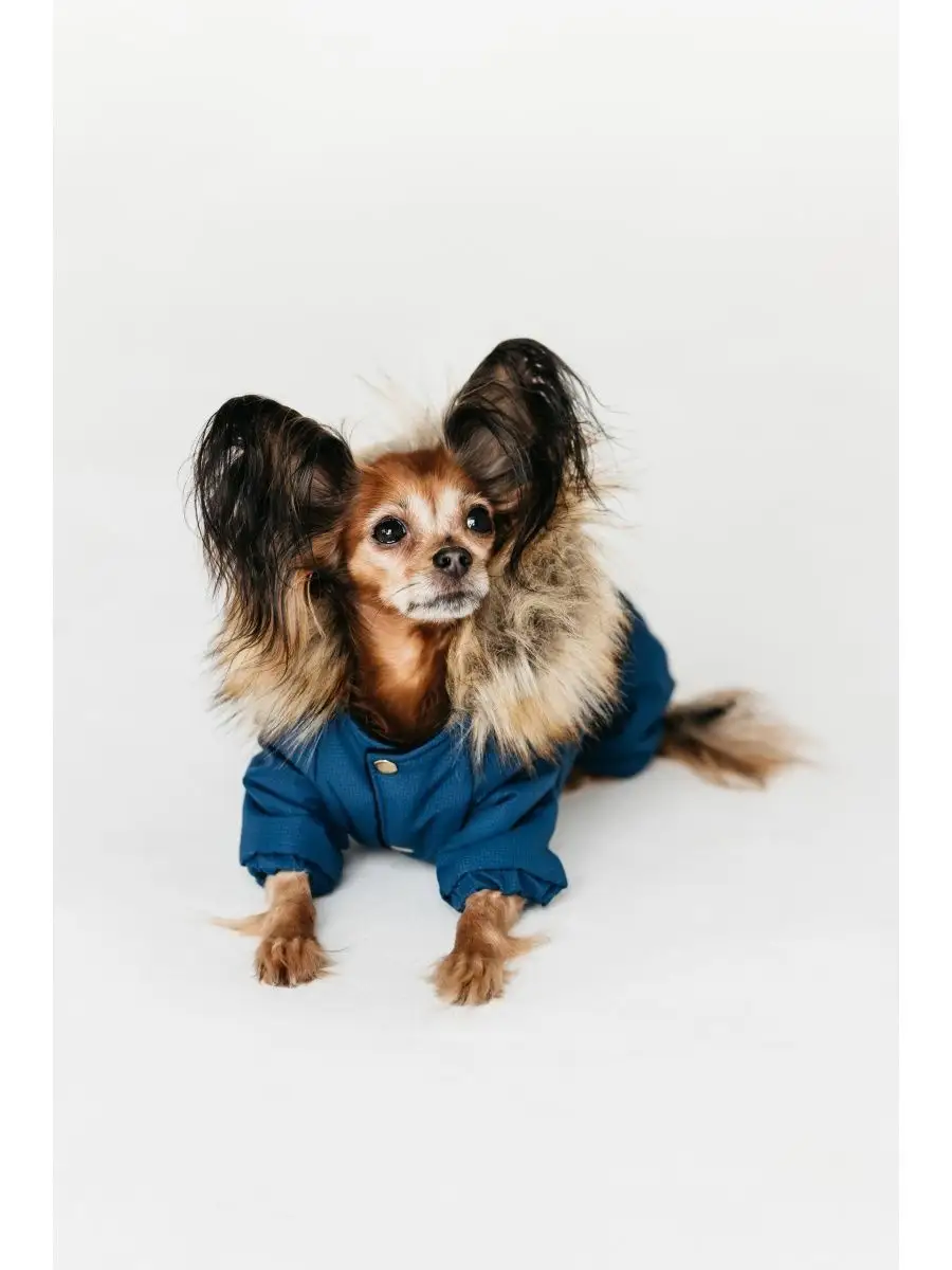 Одежда для собак и животных оптом в интернет-магазине от производителя ZooTrend